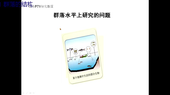 群落的结构哔哩哔哩bilibili