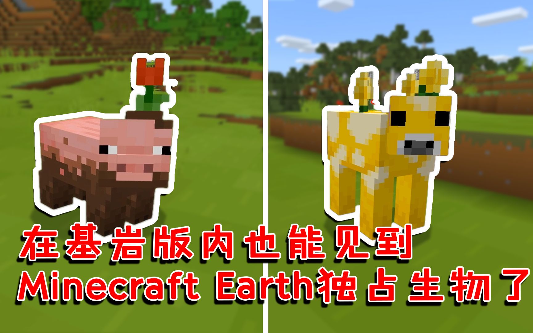 [图]我的世界：在基岩版内也能见到Minecraft Earth独占生物了！[番外篇242]