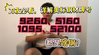 Descargar video: 5160、1095代表啥钢？一次看懂美标钢号！再也不被忽悠