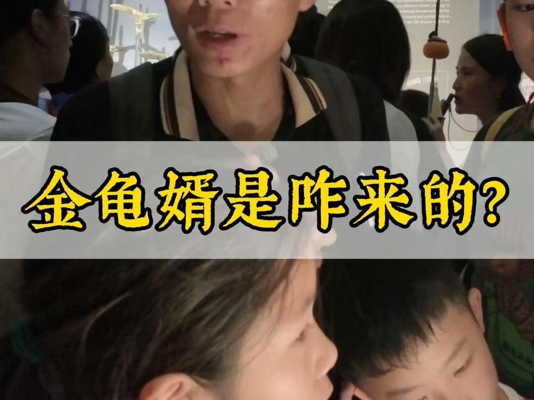 “金龟婿”指的是什么样的人呢?...哔哩哔哩bilibili