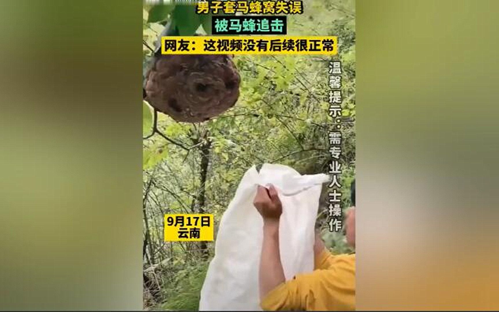 作死行为:云南一男子上山套马蜂窝,因操作失误蛇皮袋没套住,被群蜂蛰得嗷嗷直叫哔哩哔哩bilibili