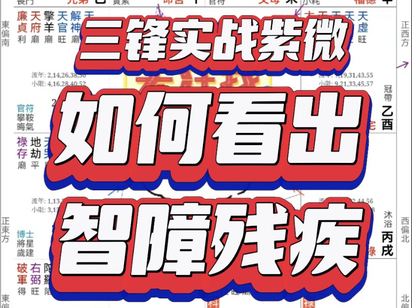 看盘干货分享:如何从紫微盘看出命主是智障哑巴残疾?实盘精批精彩分享不容错过建议收藏!哔哩哔哩bilibili