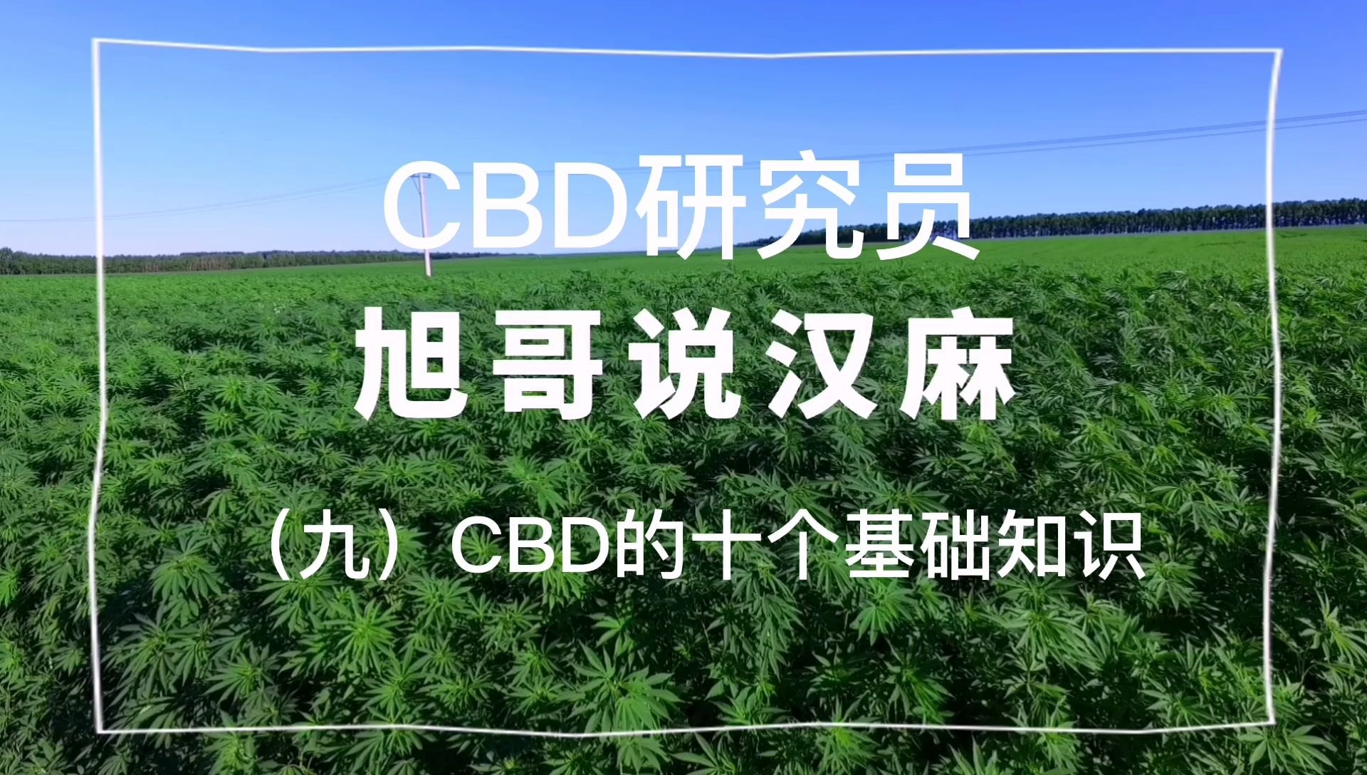 汉麻CBD的十个基础知识哔哩哔哩bilibili