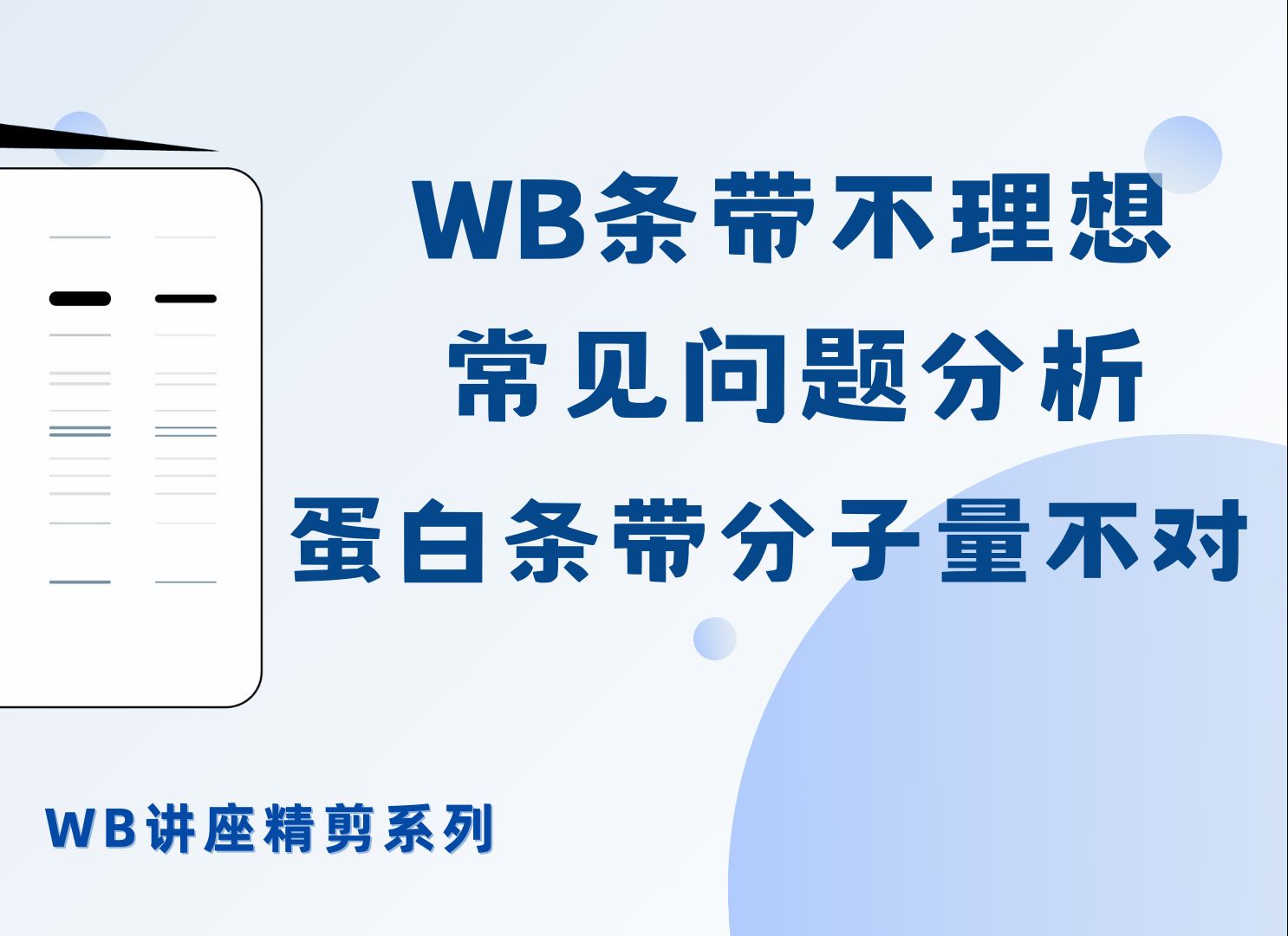 【WB讲座CUT】WB条带不理想,常见问题分析:蛋白条带分子量不对哔哩哔哩bilibili