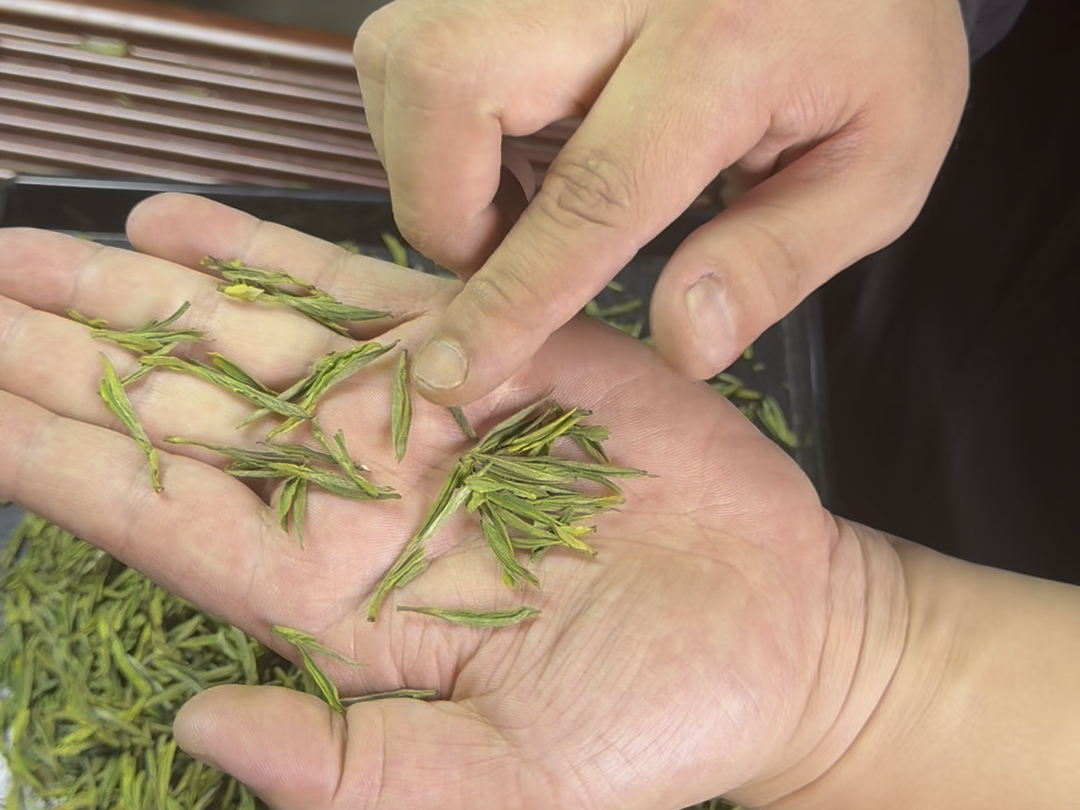 安吉原产头采高端白茶,颗颗小嫩芽,巨香巨好喝,兰花香浓郁,高端好茶