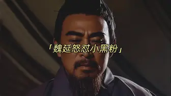 魏延：我子午谷奇谋不行？回答我！