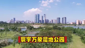 Download Video: 寰宇万象湿地公园 碧波荡漾鸟鸣蛙叫绿树成荫 南昌市内公园游玩