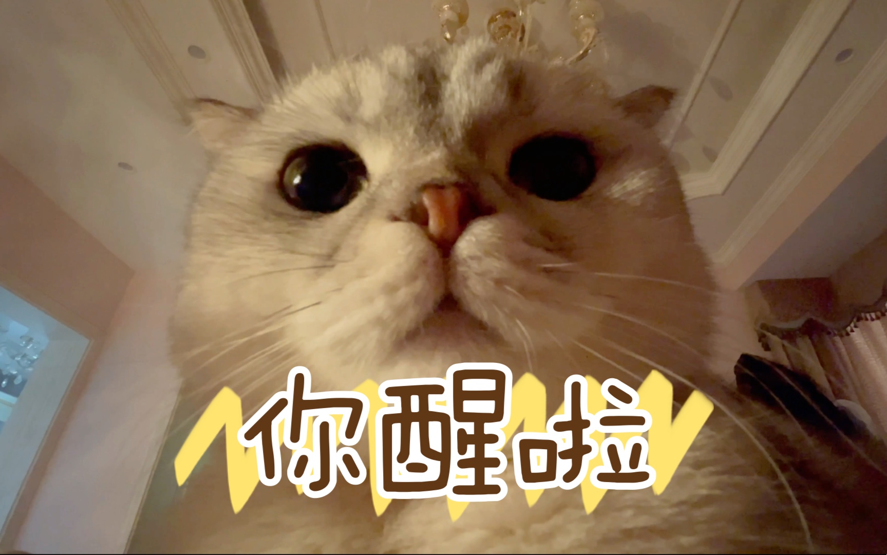 活动作品哒咩哒咩哒咩哟