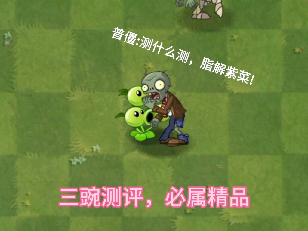 本期测评植物:三重射手(本人)