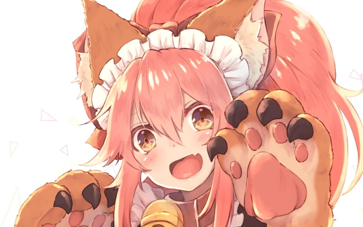 【fgo反向竞速】玉藻猫单挑大菩萨