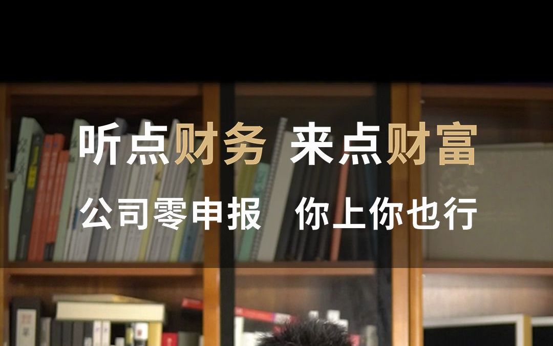 新注册公司零申报,你上你也行,听点财务 来点财富 财务玩家教你做哔哩哔哩bilibili