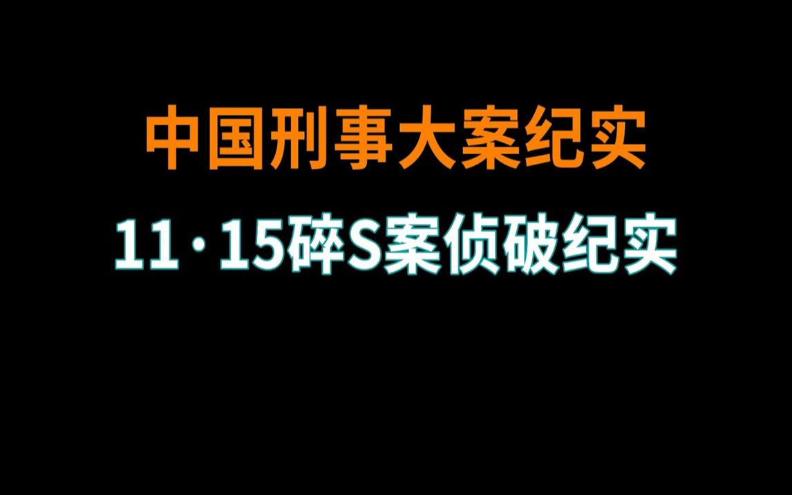 [图]11·15碎S案侦破纪实 - 刑事案件要案记录