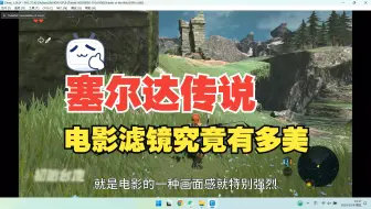 【塞尔达传说】旷野之息     CEMU图形插件都有什么呢