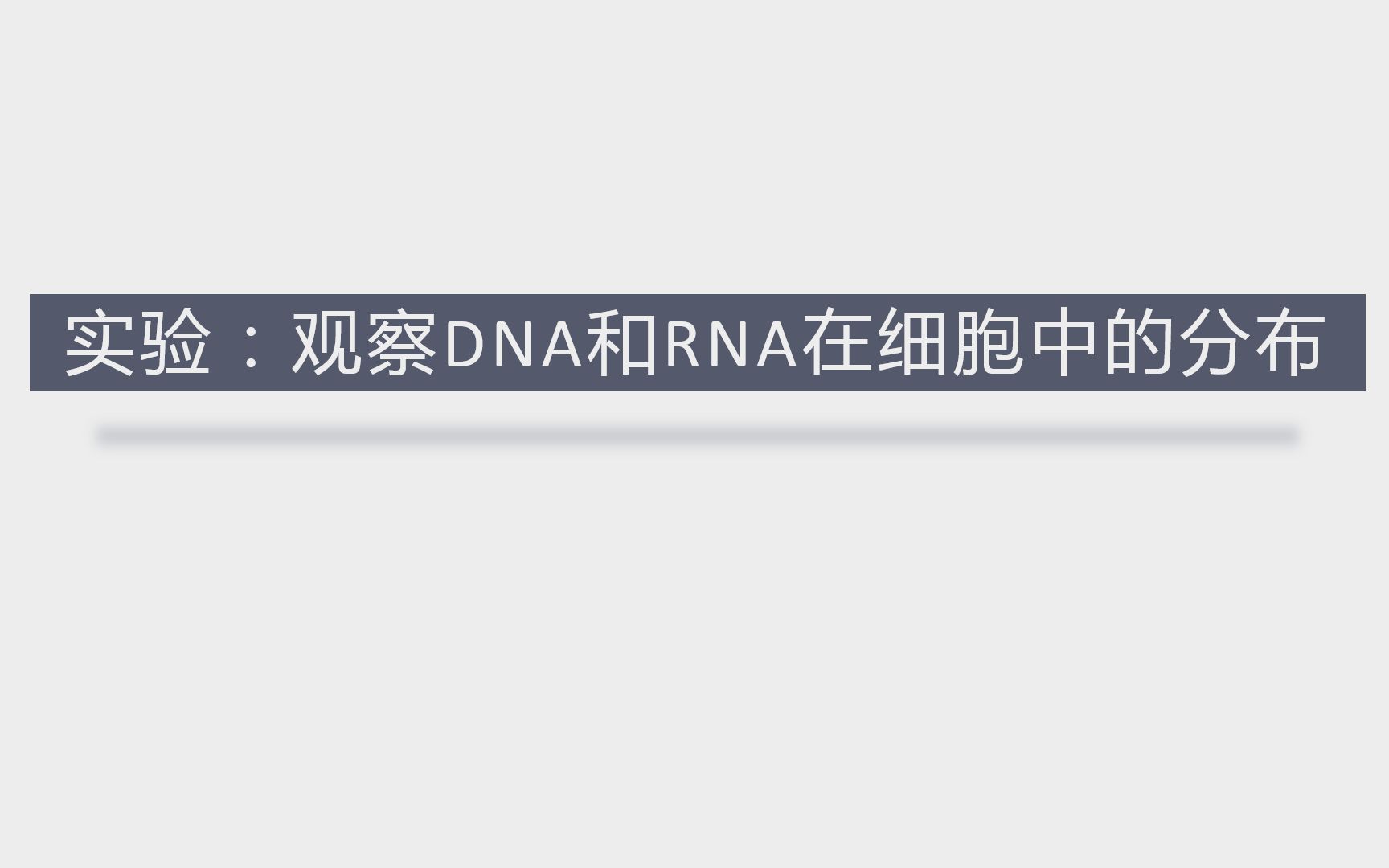 【跟我学生物】实验:观察DNA和RNA在细胞中的分布——高一生物哔哩哔哩bilibili