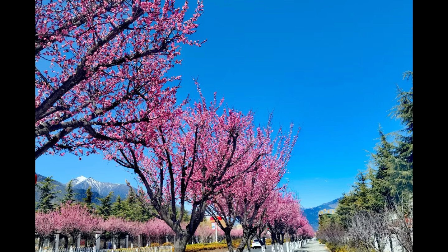 [图]未来是尚未来临的过去，过去是已来过的未来吧。——京极夏彦《姑获鸟之夏》