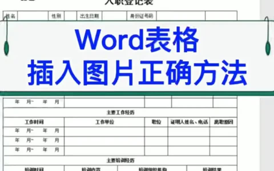 Word表格插入图片的正确操作.哔哩哔哩bilibili