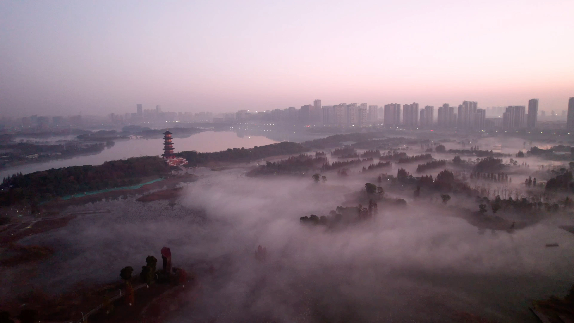 [图]云雾缭绕，层林尽染，带你看看不一样的南昌象湖湿地公园