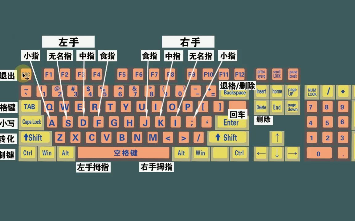 零基础学电脑打字,快速学会键盘打字,适合初学者学习