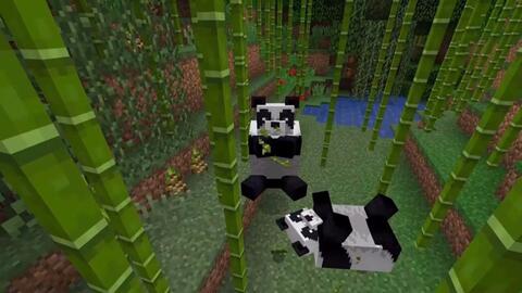 无限轮回的地狱门乌龙的奇喵冒险 村庄与掠夺我的世界原版1 14版本生存p14 乌龙喵出品 Minecraft 哔哩哔哩 Bilibili