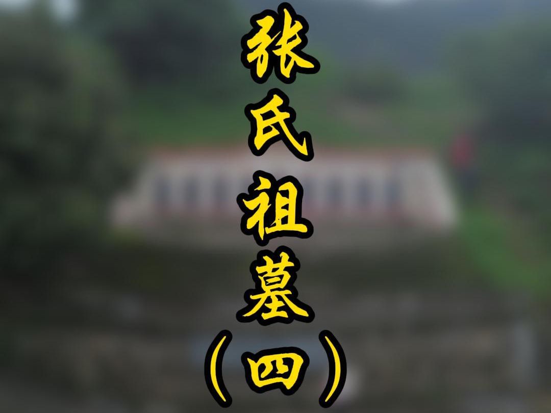 张氏先祖合葬墓,为杨公所卜,仙鹅形,大发人丁.哔哩哔哩bilibili