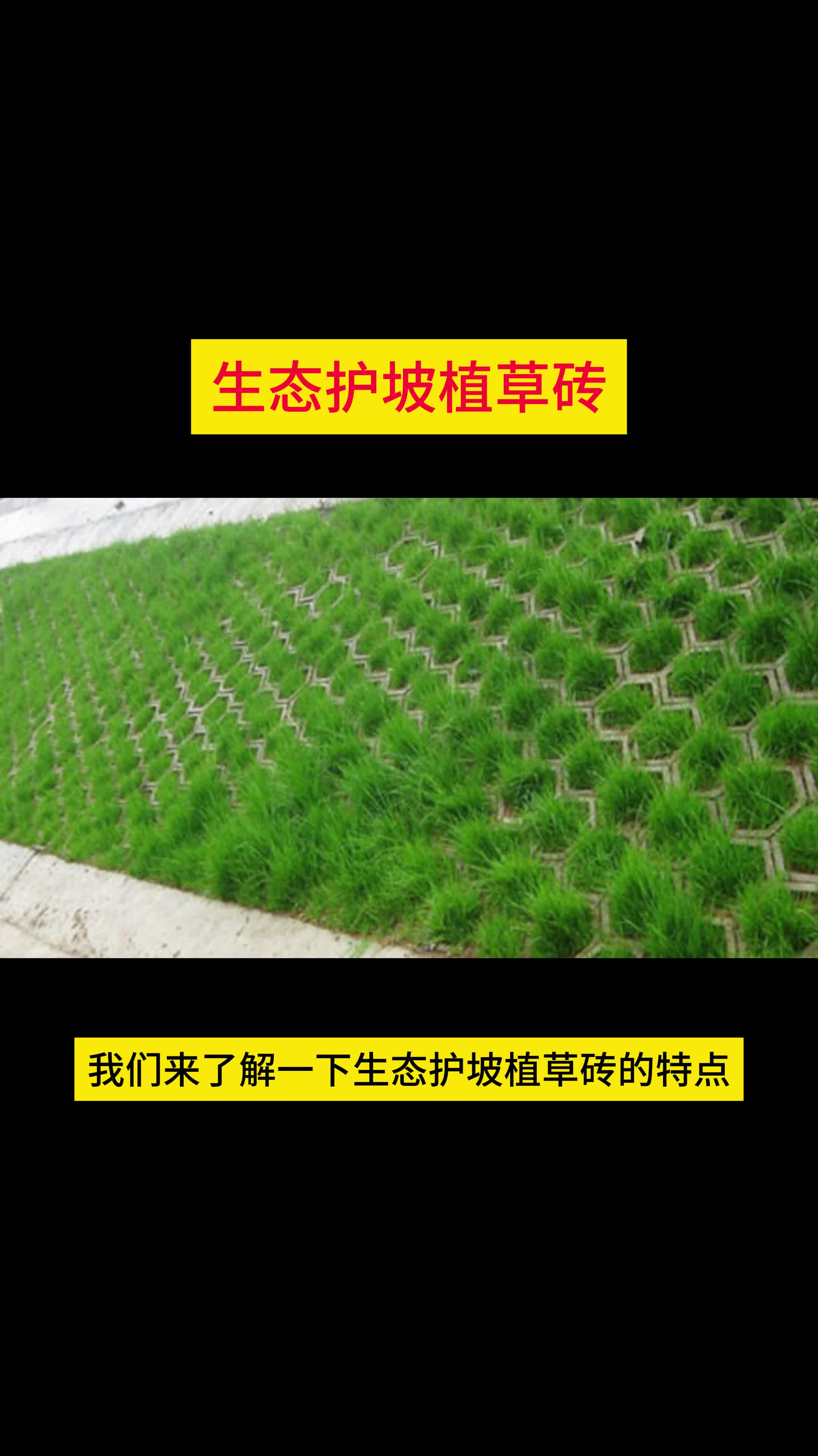 边坡植草砖图片