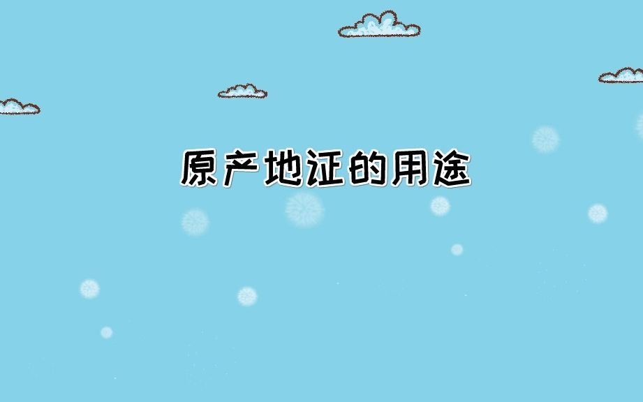 原产地证的用途哔哩哔哩bilibili