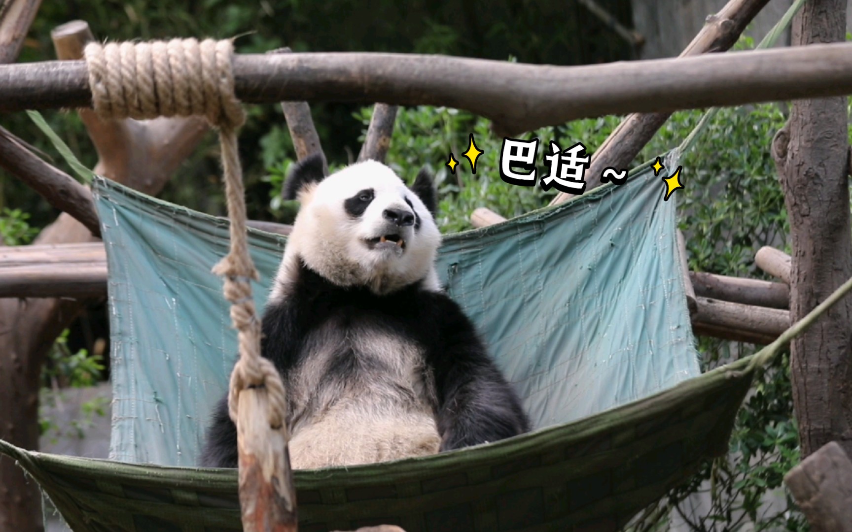 累的时候躺在吊床时候那个巴适