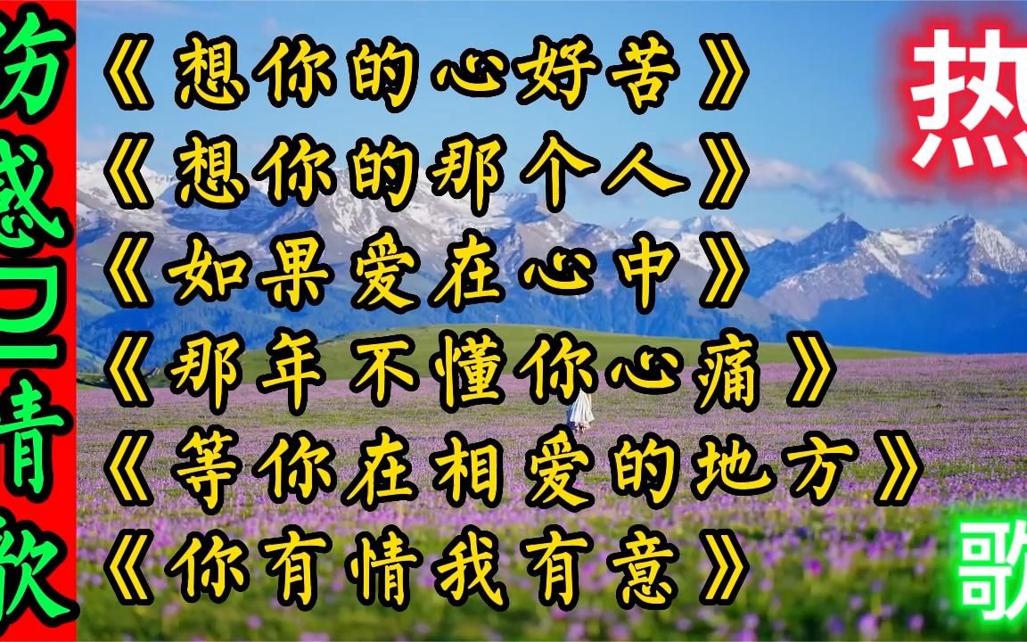 6首好听伤感dj情歌《想你的心好苦那年不懂你心痛你有情我有意