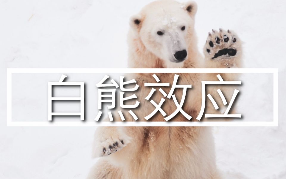 不让想却越想——白熊效应(e118)