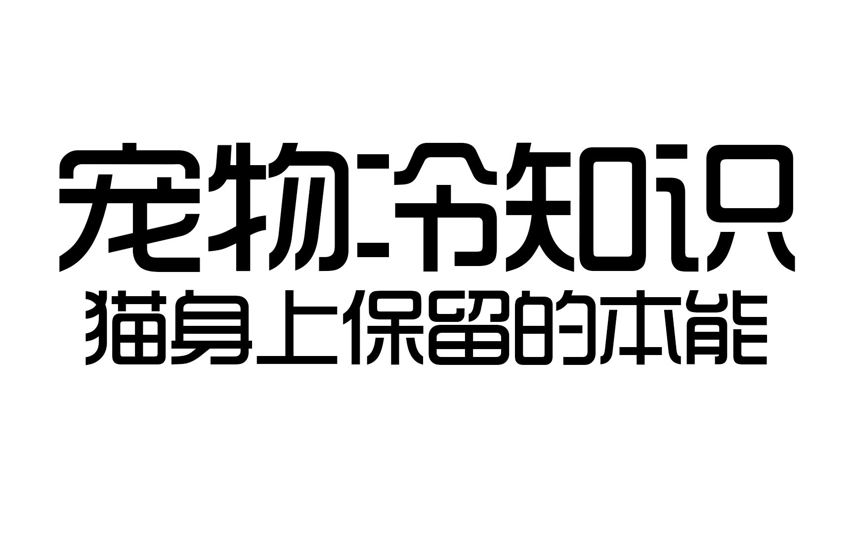 你知道哪些行为是猫咪身上的原始本能吗?哔哩哔哩bilibili