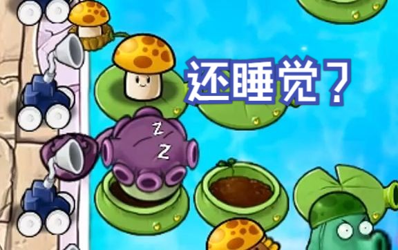 忧郁菇投手还睡觉?