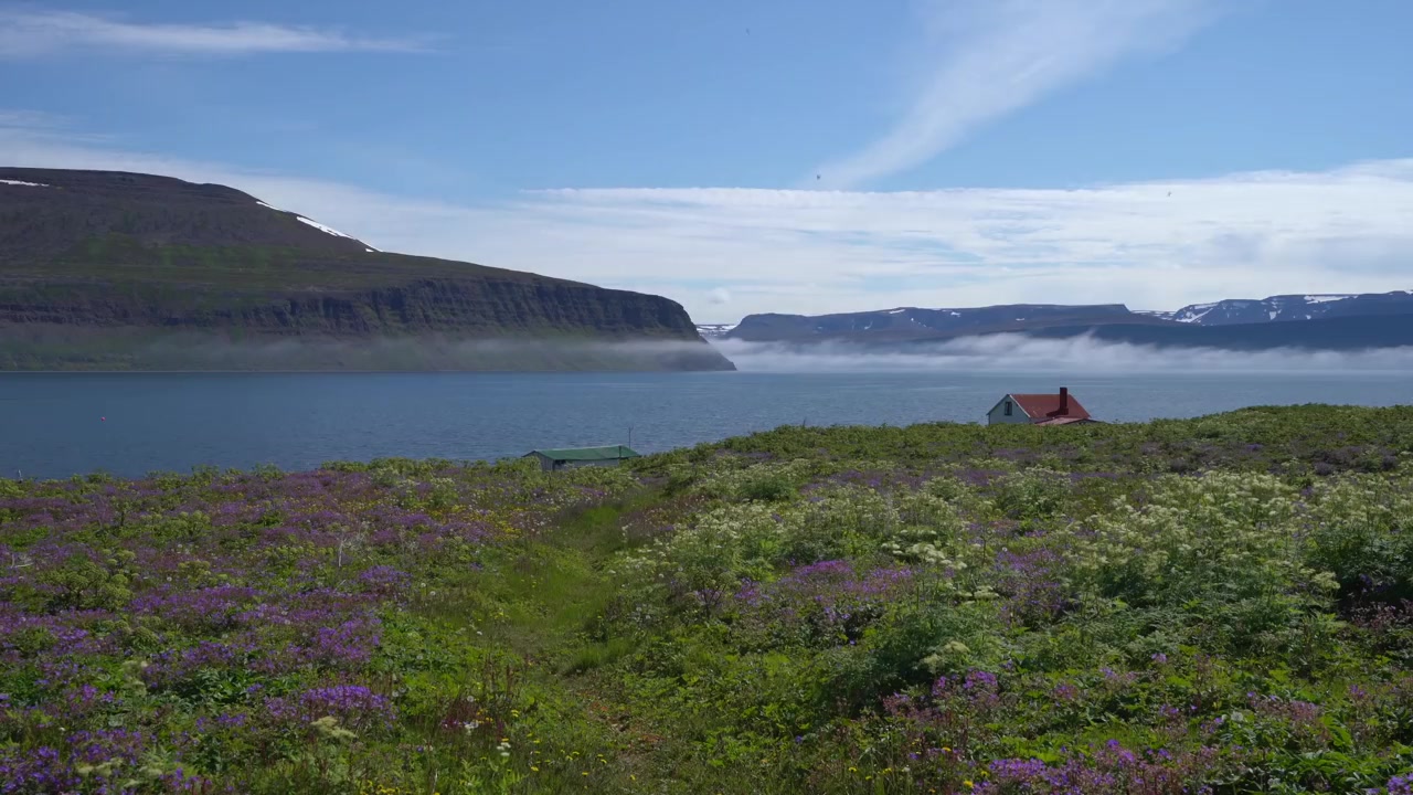 [图]Hiking 60 Miles Alone in Hornstrandir Iceland