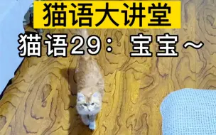 Tải video: 赶紧大声播放猫语“宝宝”，看看你家猫有什么反应？