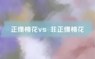 Download Video: 【四海鲸鸣】塔罗占卜-你的正缘桃花与非正缘桃花分别是什么样子