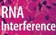 RNA interference (nature video) 英语字幕哔哩哔哩bilibili