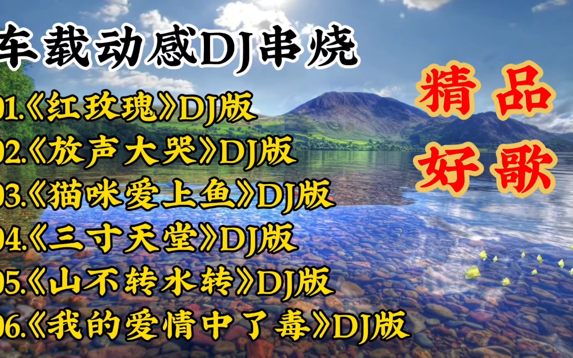 车载动感DJ串烧《红玫瑰》《放声大哭》《猫咪爱上鱼》哔哩哔哩bilibili