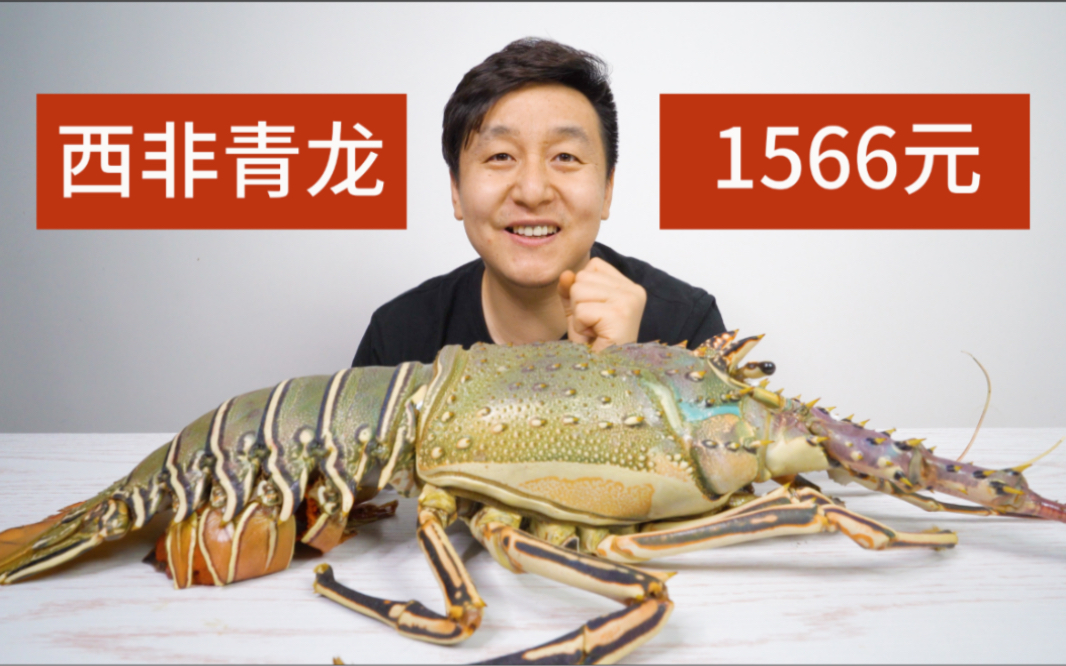 这只1566元的罕见西非青龙价格再创历史新高口感却很家常