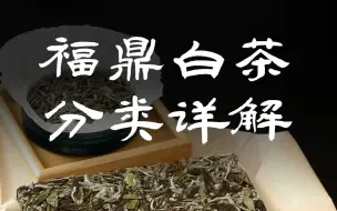 Download Video: 一次讲清白茶的分类，如何挑选好的银针、牡丹和寿眉？