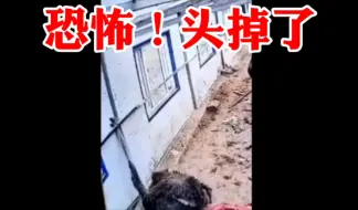 Tải video: 太可怕了！头扯掉了