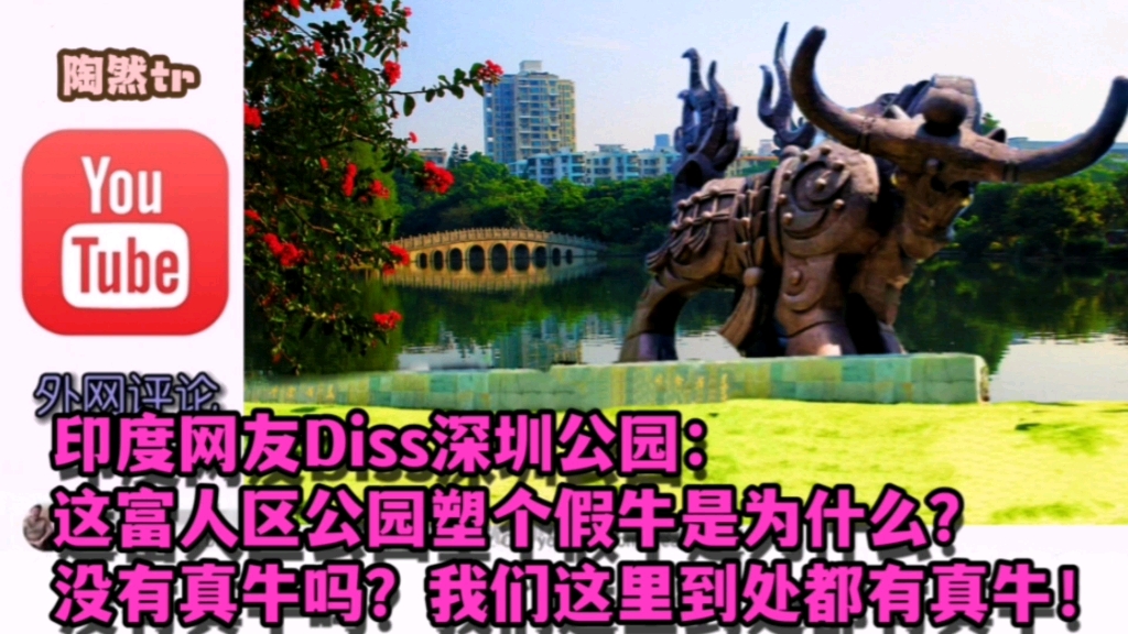 印度网友diss深圳公园:这富人区公园塑个假牛是为什么?没有真牛吗?我们这里到处都是真牛.哔哩哔哩bilibili