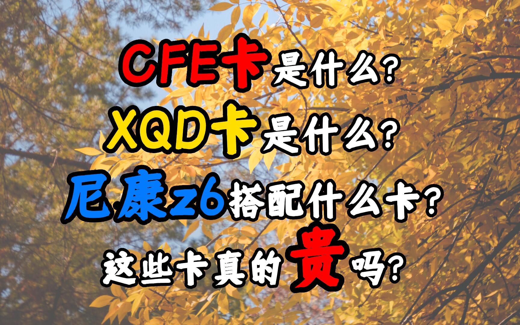 尼康Z6该怎么选择内存卡?XQD卡为什么这么贵?CFE卡到底是什么?这一期视频给你全部解决.哔哩哔哩bilibili