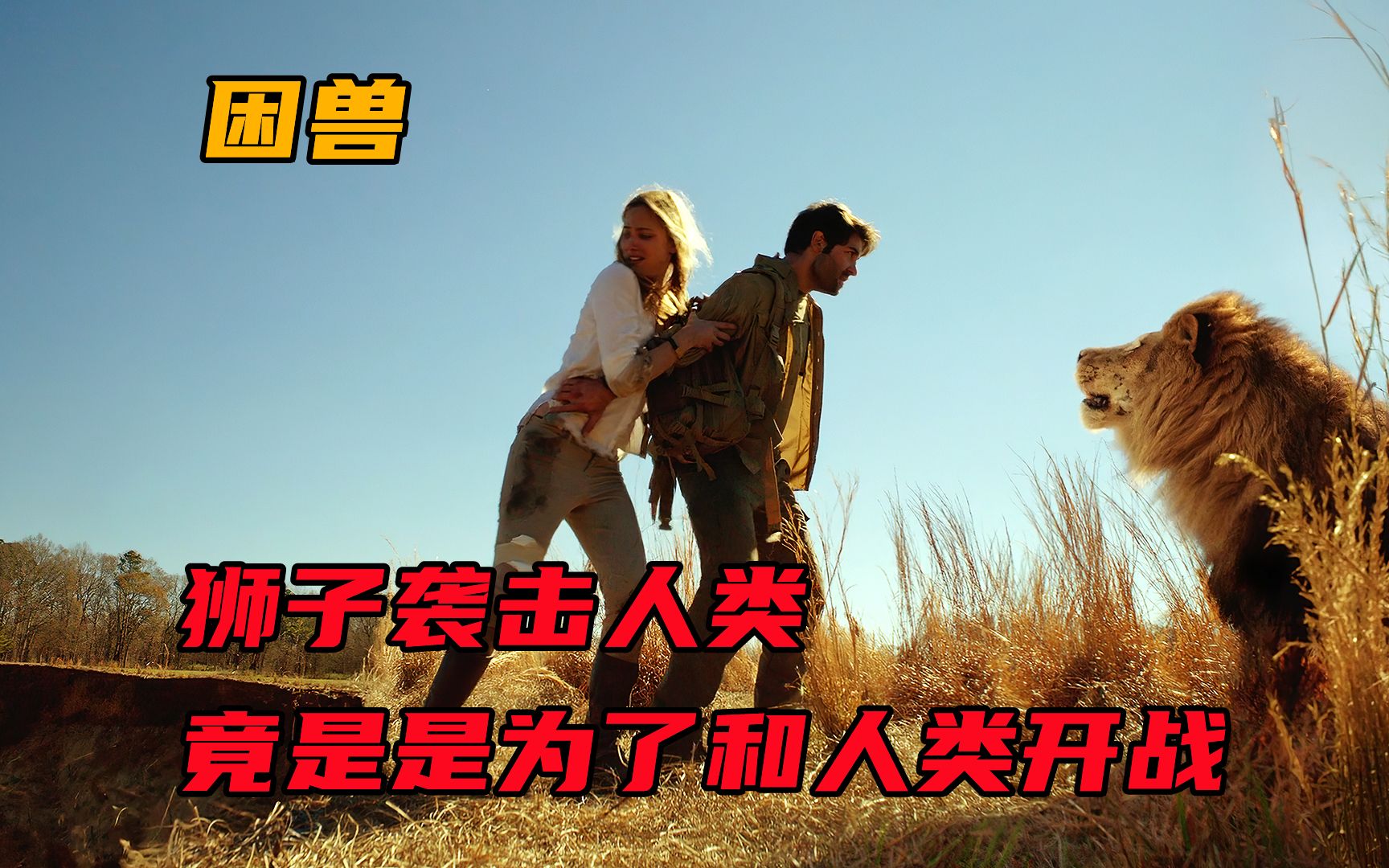 狮子无缘无故袭击人类,竟只为和人类宣战,惊悚美剧《困兽》