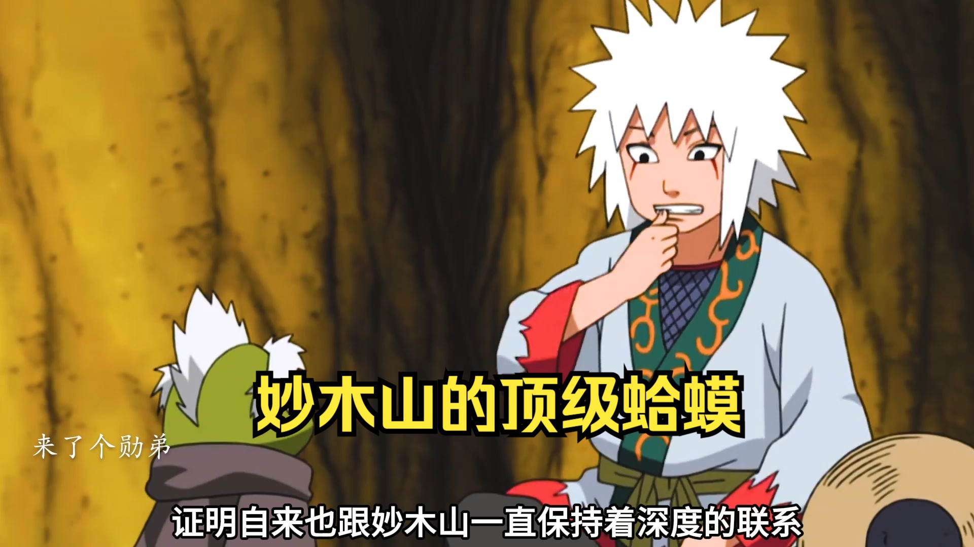 为什么深作仙人夫妇的体型却那么小.自来也与妙木山的亲密无间