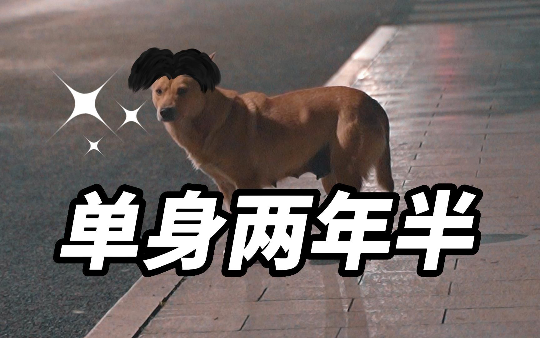 扫街拍到单身狗和情侣,就剪了一种很新的东西