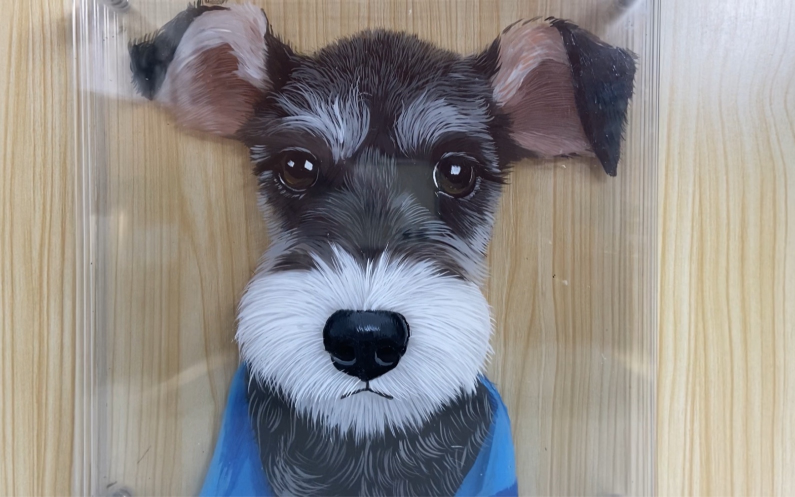 发一枚眼镜雪纳瑞