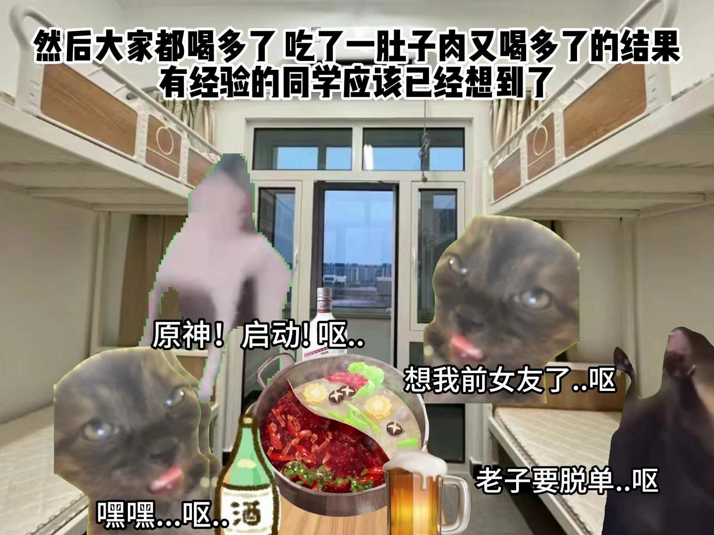 【猫meme】互呕哥事件哔哩哔哩bilibili