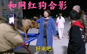 Video herunterladen: 小糯米妈妈和姑姑一家人广场上偶遇网红大灰狗，现场很多人排队与狗狗拍照合影