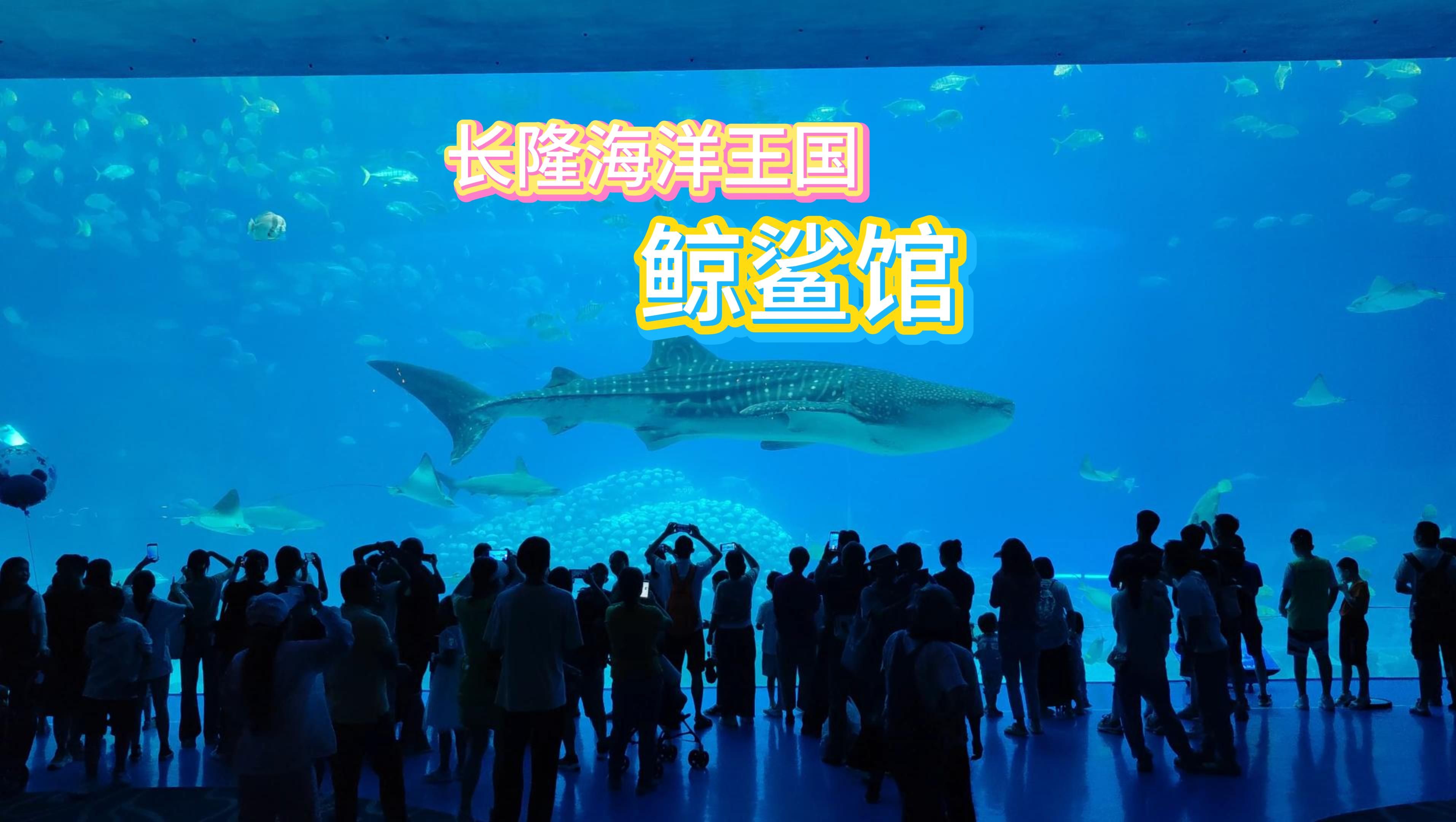 长隆海洋王国-鲸鲨馆