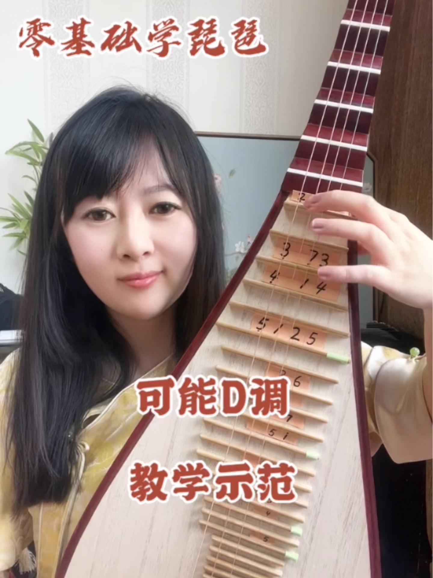 零基础学琵琶:可能d调