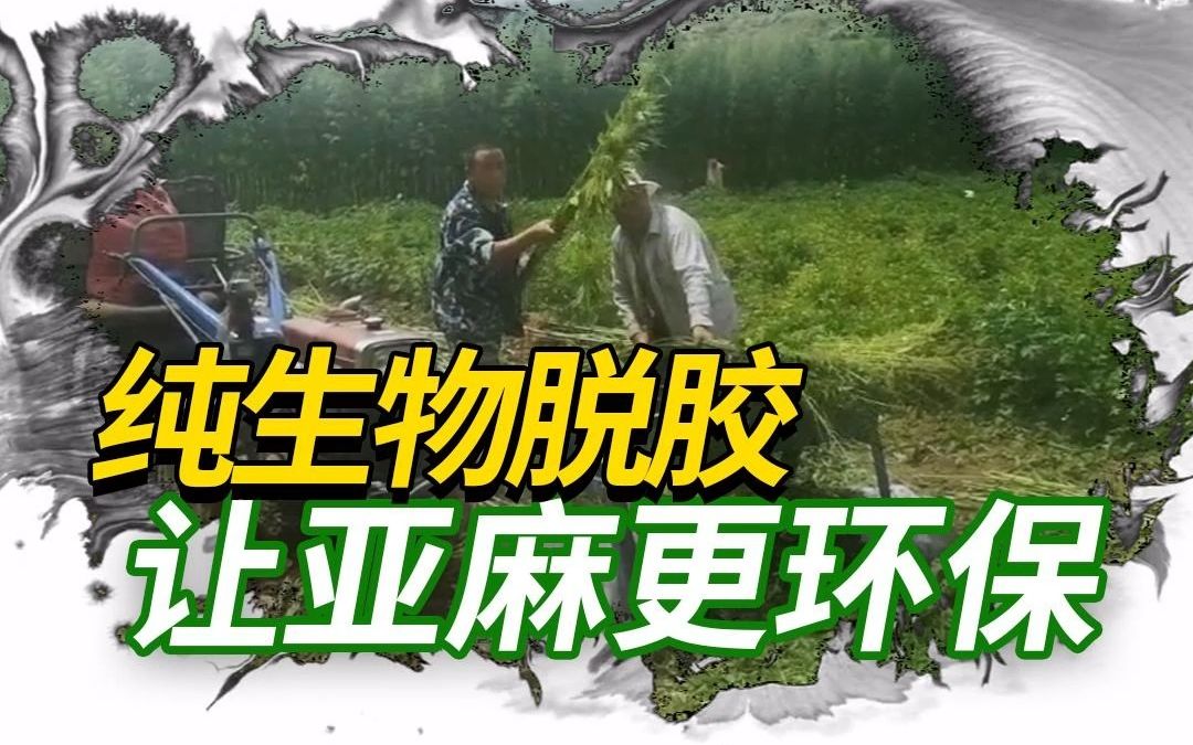 麻类生物脱胶新思路哔哩哔哩bilibili